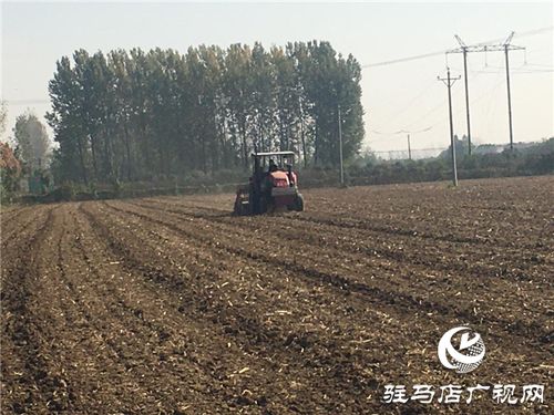 噸源種業(yè)召開 福高2號 播種現(xiàn)場會