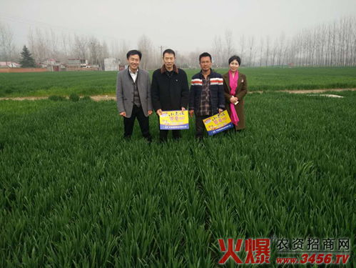 河南晨博種業(yè) 以科技創(chuàng)新引領現(xiàn)代種業(yè)發(fā)展