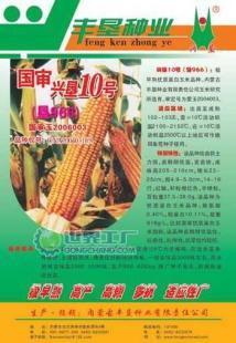 興墾10號玉米種子 產(chǎn)品信息與廠家供應詳情