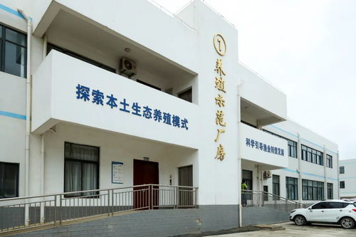 文昌馮家灣現(xiàn)代化漁業(yè)產(chǎn)業(yè)園 打造水產(chǎn)種業(yè)硅谷，讓水產(chǎn)住進“別墅”