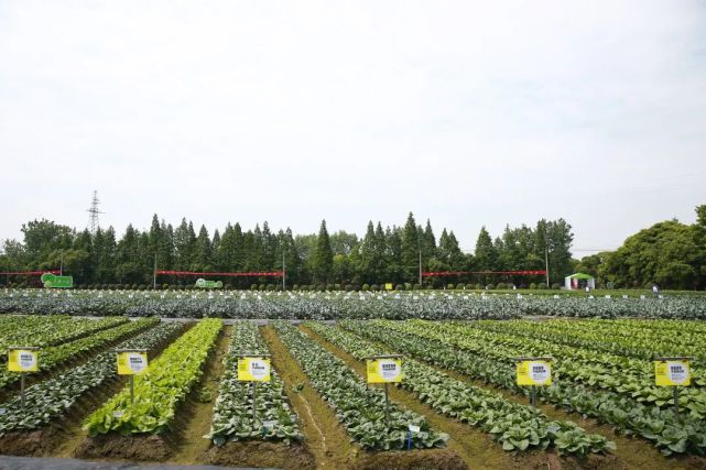 2022浙江種業(yè)博覽會(huì)明日盛大開幕，助推現(xiàn)代種業(yè)創(chuàng)新發(fā)展